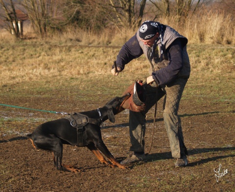 The christmas training 27.12.2006